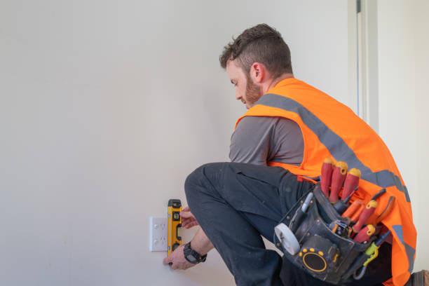 Best Ceiling Fan Installation Electrician  in Meiners Oaks, CA